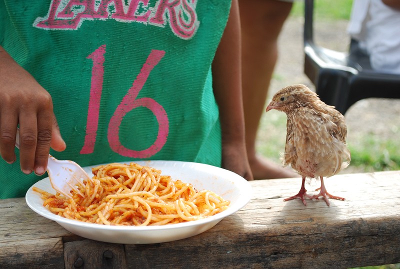 Spaghetti El Dorado 01 2009  - 135